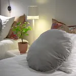 Hotel Lemonade